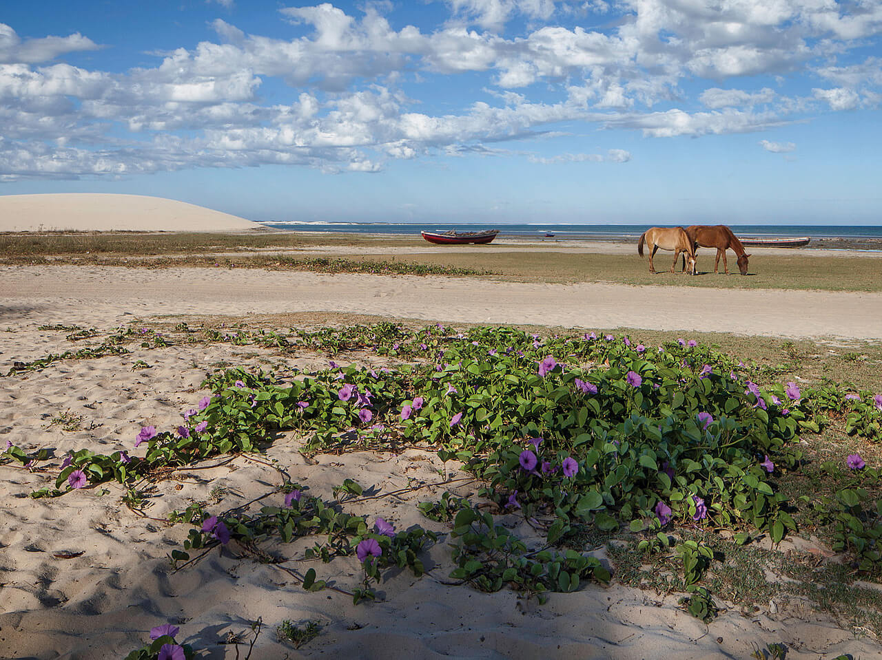 Voyages au Brésil, Jericoacoara