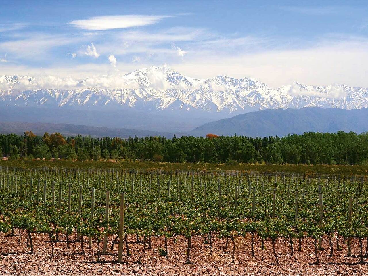 Voyages en Argentine, Mendoza